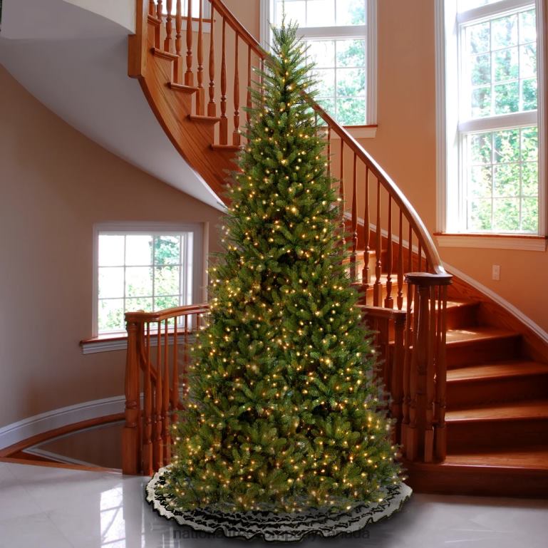 National Tree Company Pre-Lit Artificial Slim Christmas Tree Green Dunhill Fir White Lights Includes Stand 10 Feet 68R0821
