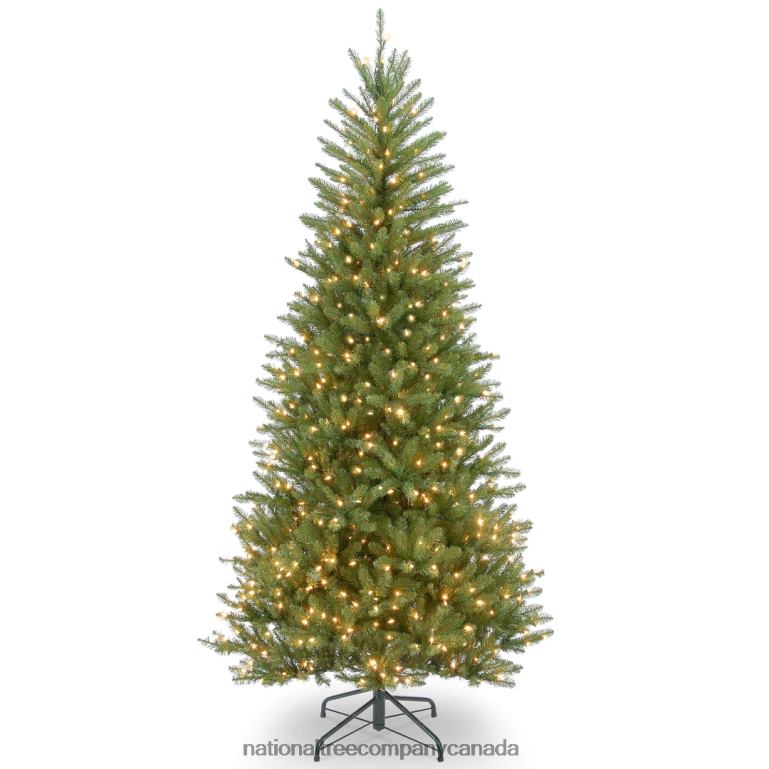National Tree Company Pre-Lit Artificial Slim Christmas Tree Green Dunhill Fir White Lights Includes Stand 75 Feet 68R0844