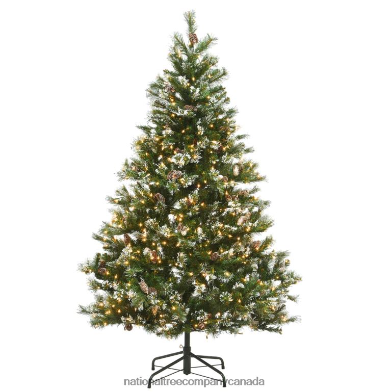 National Tree Company Pre-Lit Artificial Slim Christmas Tree Green Glittery Bristle Pine White Lights Flocked with Pine Cones Frosted Branches Includes Stand 65 Feet 68R08202