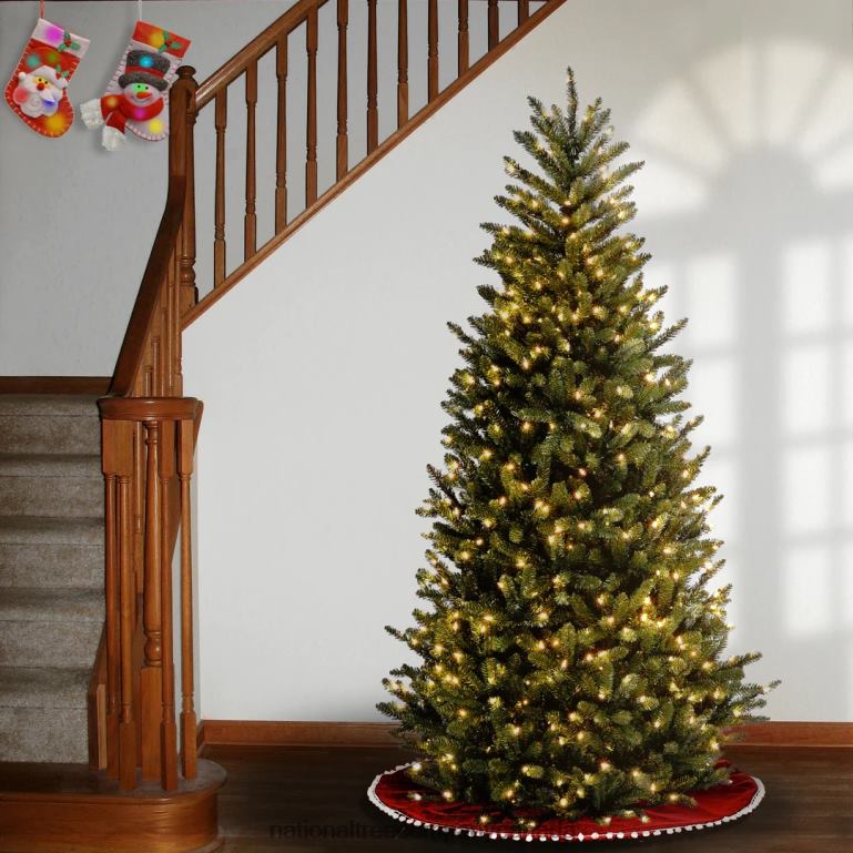 National Tree Company Pre-Lit Artificial Slim Christmas Tree Green Natural Fraser Fir White Lights Includes Stand 9 Feet 68R0828