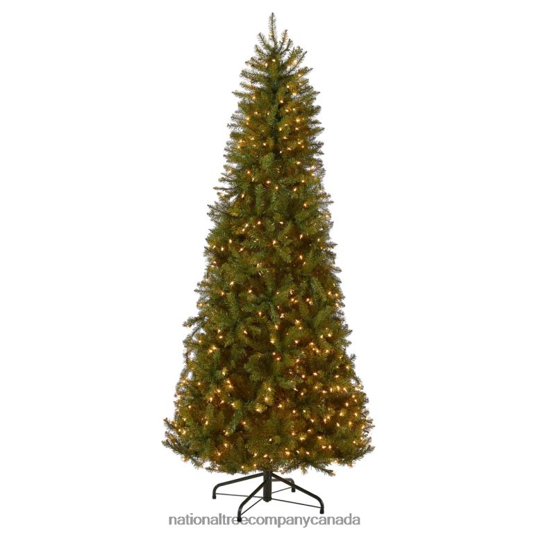 National Tree Company Pre-Lit Artificial Slim Christmas Tree Green White Lights Includes Stand 65 Feet 68R08132