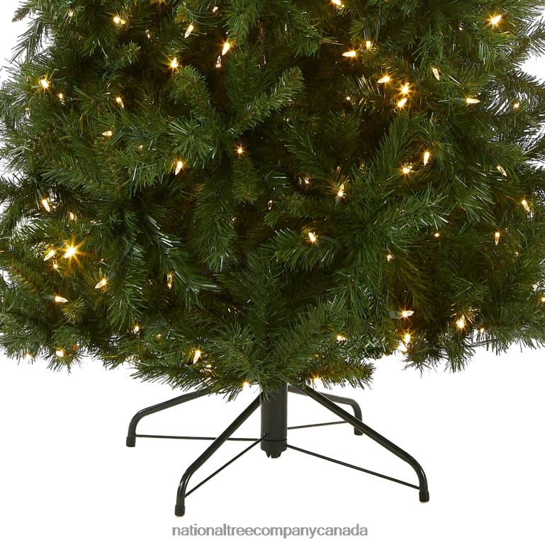 National Tree Company Pre-Lit Artificial Slim Christmas Tree Lehigh Valley Pine Green White Lights Includes Stand 75 Feet 68R08121