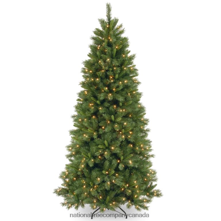 National Tree Company Pre-Lit Artificial Slim Christmas Tree Lehigh Valley Pine Green White Lights Includes Stand 75 Feet 68R08121