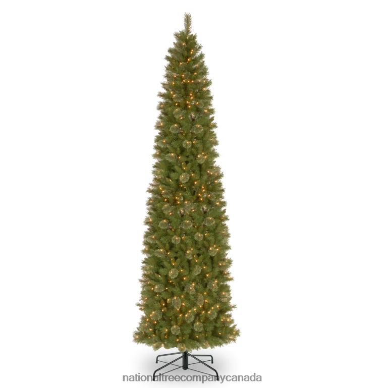 National Tree Company Pre-Lit Artificial Slim Christmas Tree Tacoma Pine Green White Lights Includes Stand 12 Feet 68R08107