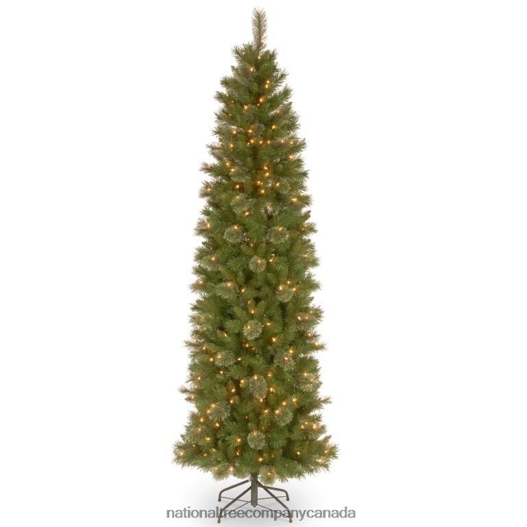 National Tree Company Pre-Lit Artificial Slim Christmas Tree Tacoma Pine Green White Lights Includes Stand 65 Feet 68R08147