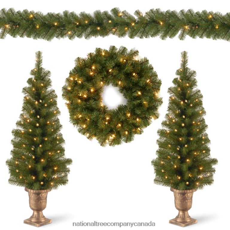National Tree Company Pre-Lit Evergreen Assortment 68R08514