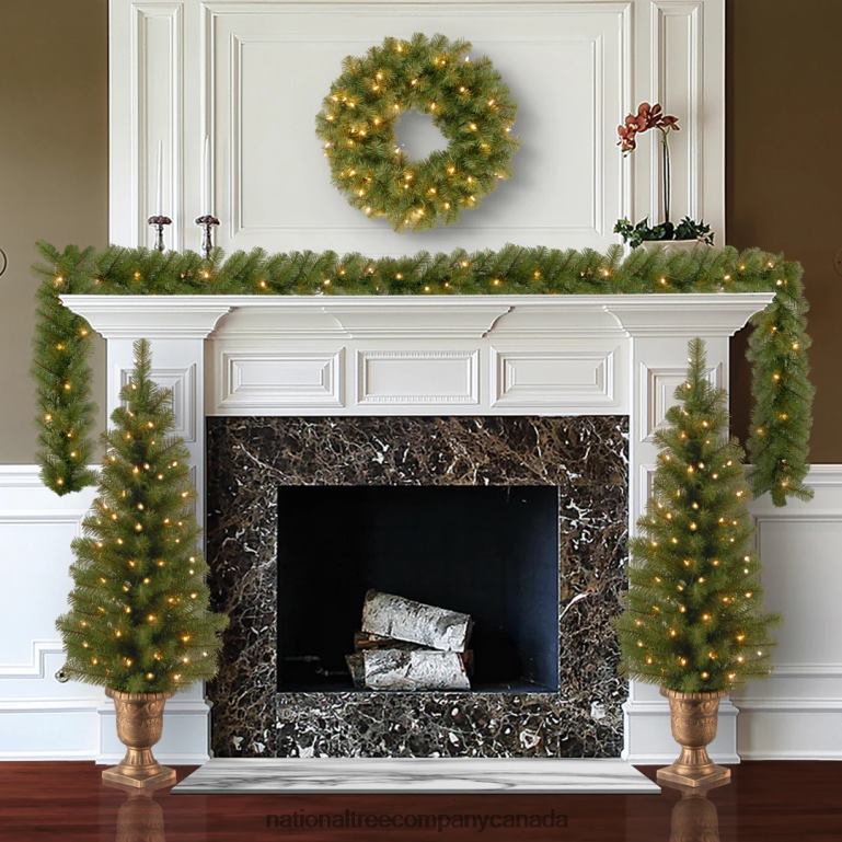 National Tree Company Pre-Lit Evergreen Assortment 68R08514