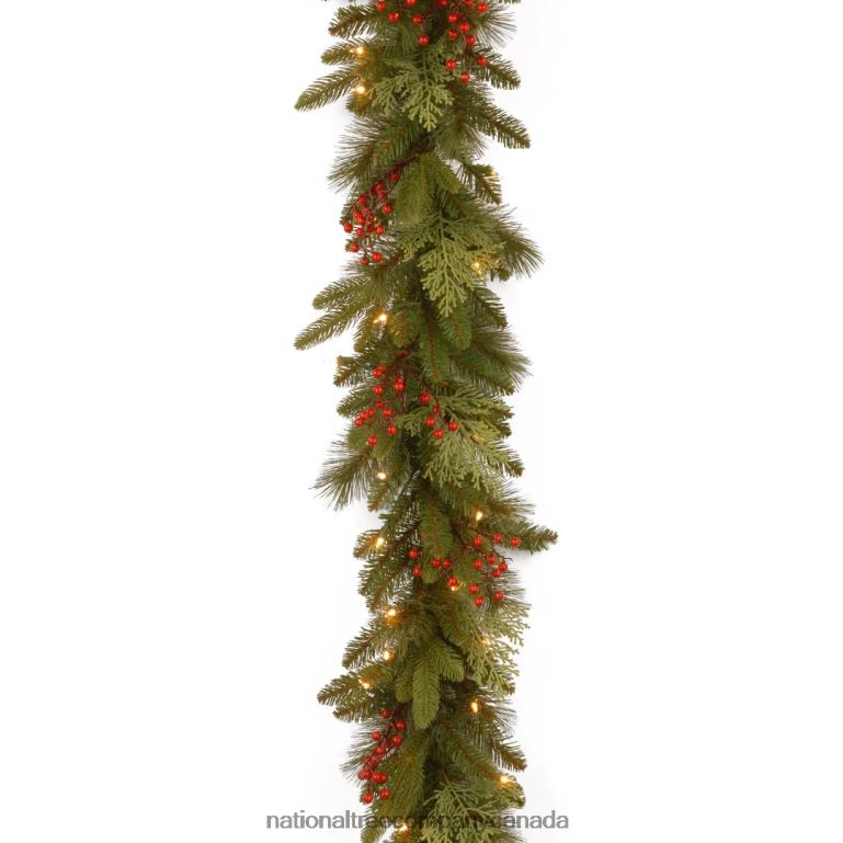 National Tree Company Pre-Lit Feel Real Artificial Christmas Garland Green Classical White Lights Decorated With Berry Clusters Plug In Christmas Collection 9 Feet 68R08328