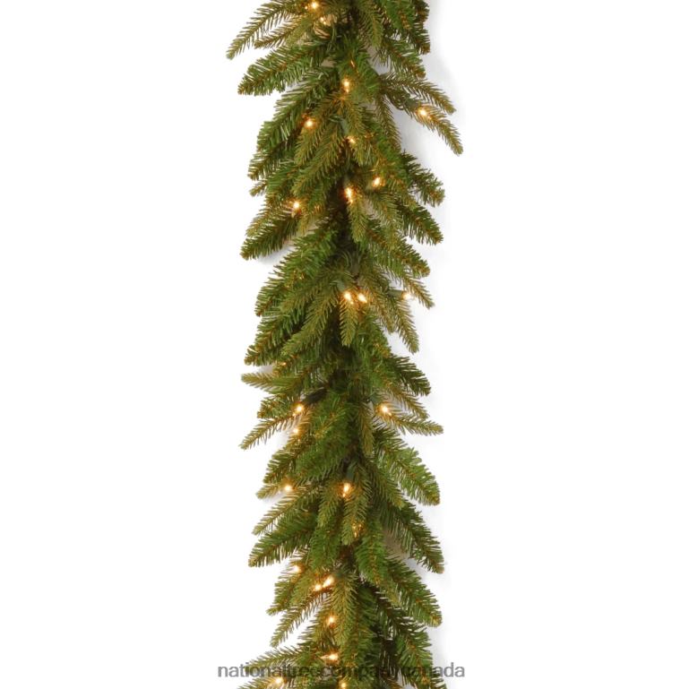 National Tree Company Pre-Lit Feel Real Artificial Christmas Garland Green Frasier Grande White Lights Plug In Christmas Collection 9 Feet 68R08393