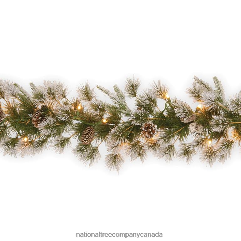 National Tree Company Pre-Lit Feel Real Artificial Christmas Garland Green Liberty Pine White Lights Decorated With Pine Cones Frosted Branches Plug In Christmas Collection 9 Feet 68R08388