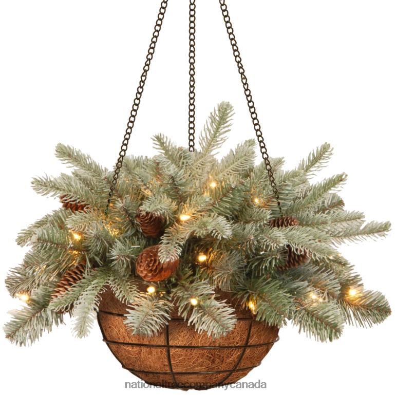 National Tree Company Pre-Lit Feel Real Artificial Christmas Hanging Basket Arctic Spruce Decorated With Frosted Pine Cones White Lights Christmas Collection 20 Inches 68R08435