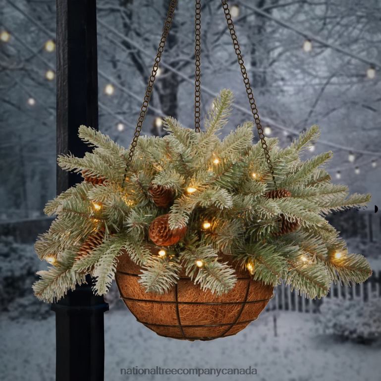 National Tree Company Pre-Lit \Feel Real\ Artificial Christmas Hanging Basket Arctic Spruce Decorated With Frosted Pine Cones White Lights Christmas Collection 20 Inches 68R08435