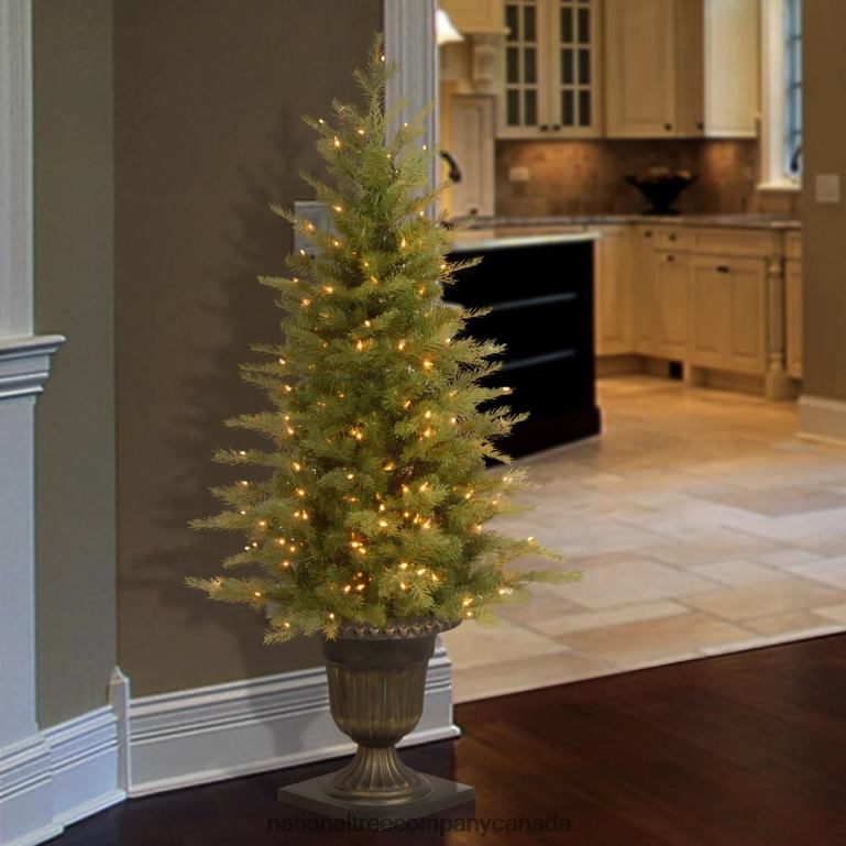 National Tree Company Pre-Lit \Feel Real\ Artificial Mini Entrance Christmas Tree Green Nordic Spruce White Lights Includes Decorative Urn Base 4 Feet 68R0848