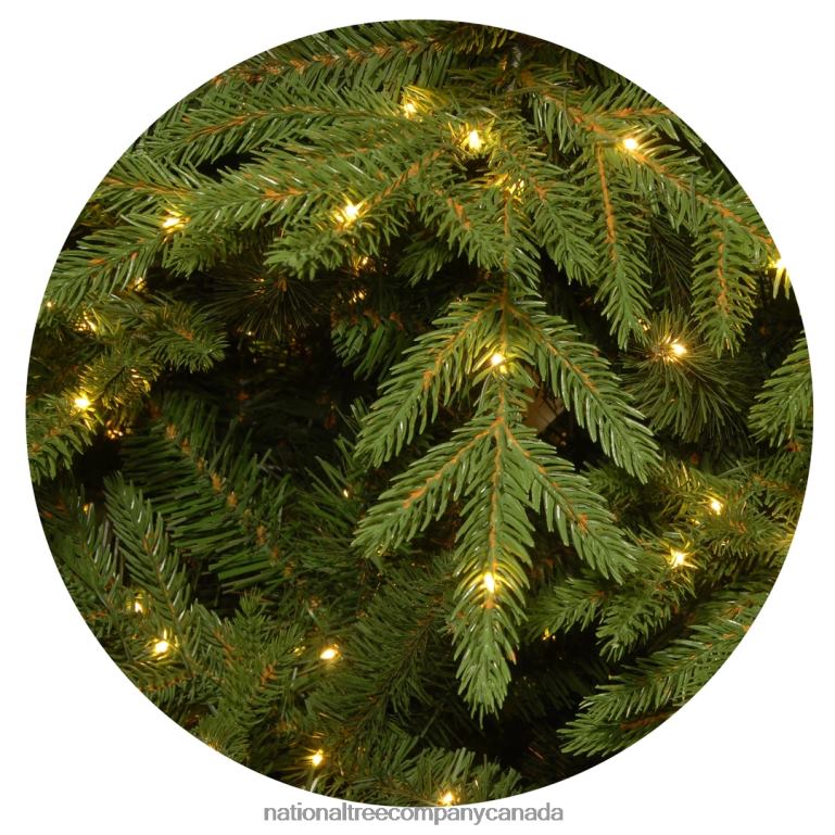 National Tree Company Pre-Lit \Feel Real\ Artificial Slim Christmas Tree Green Nordic Spruce White Lights Includes Stand 75 feet 68R089