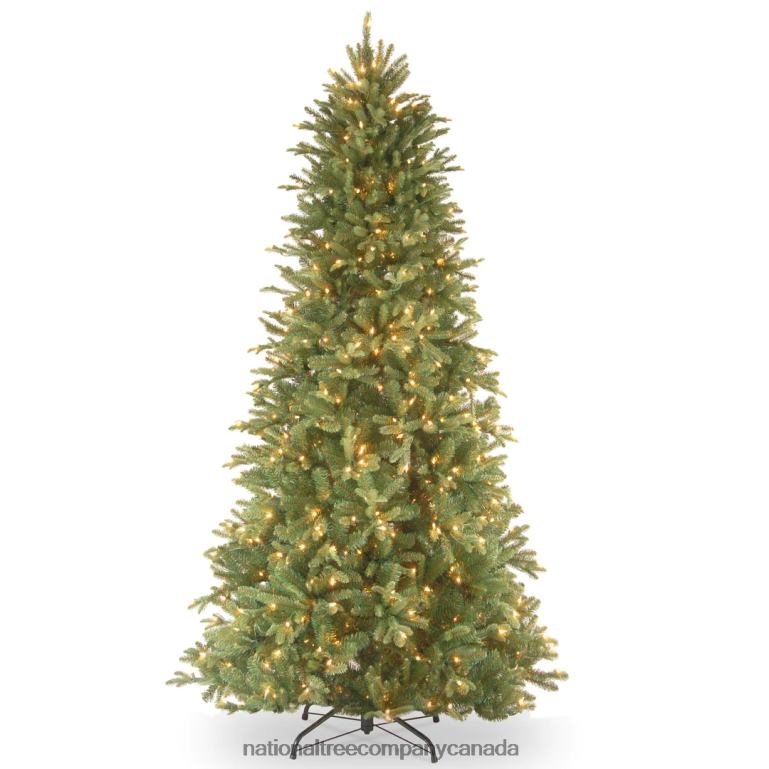 National Tree Company Pre-Lit Feel Real Artificial Slim Christmas Tree Green Tiffany Fir White Lights Includes Stand 65 Feet 68R0818