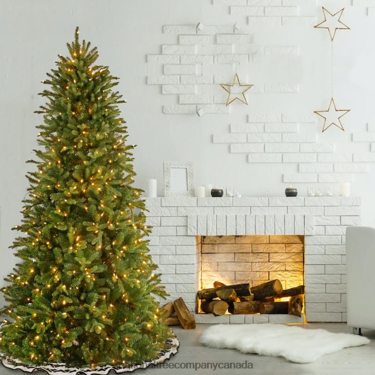 National Tree Company Pre-Lit \Feel Real\ Artificial Slim Christmas Tree Green Tiffany Fir White Lights Includes Stand 65 Feet 68R0818