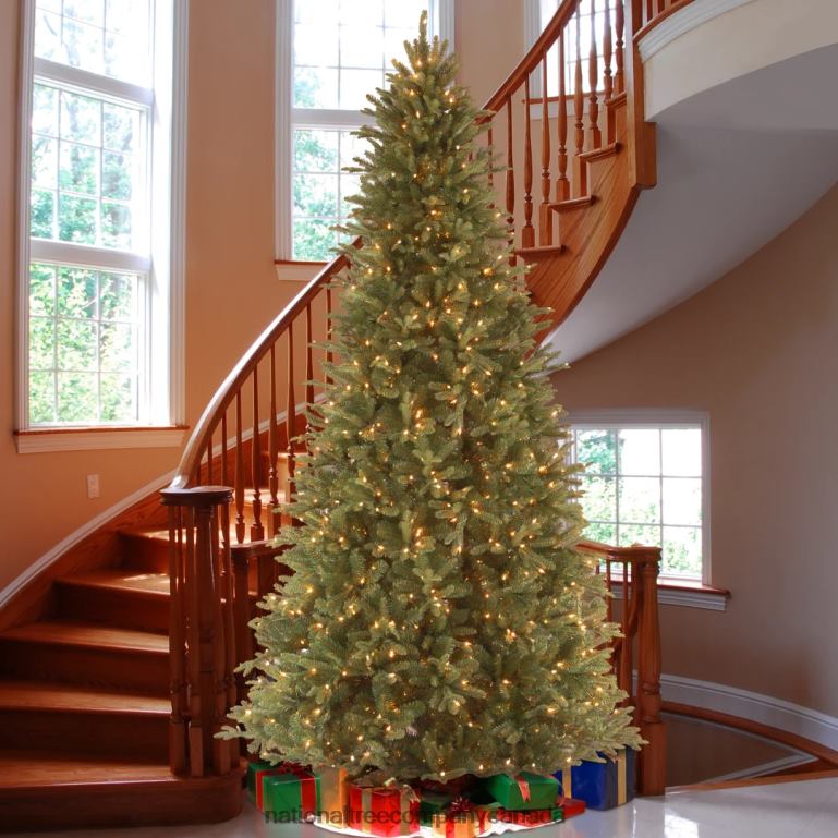 National Tree Company Pre-Lit \Feel Real\ Artificial Slim Christmas Tree Green Tiffany Fir White Lights Includes Stand 9 Feet 68R08139