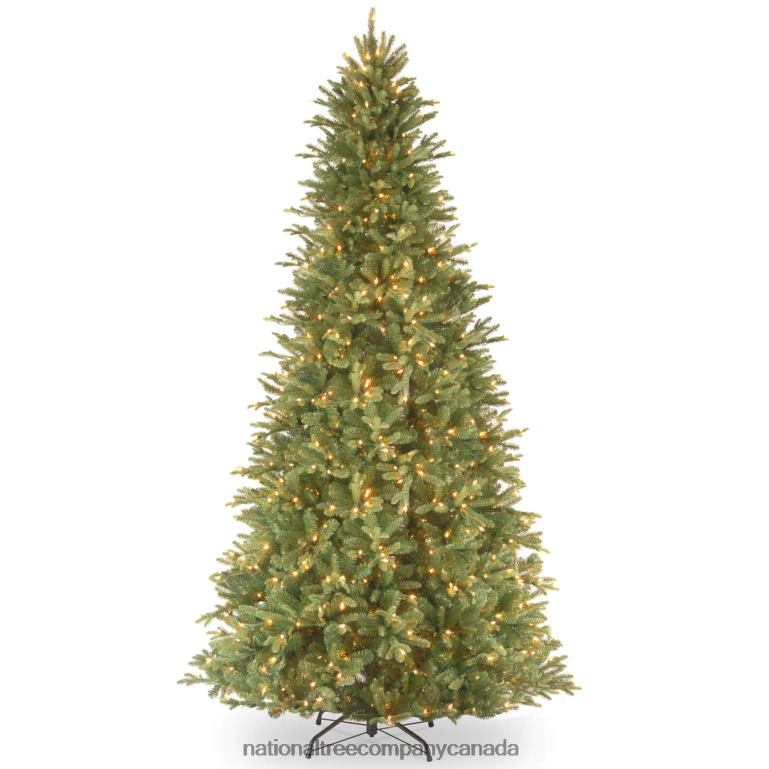 National Tree Company Pre-Lit \Feel Real\ Artificial Slim Christmas Tree Green Tiffany Fir White Lights Includes Stand 9 Feet 68R08139