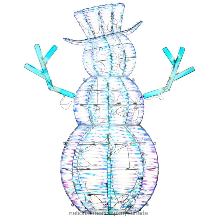 National Tree Company Pre Lit Iridescent Snowman Decoration Cool White LED Lights Plug In Christmas Collection 48 Inches 68R08642