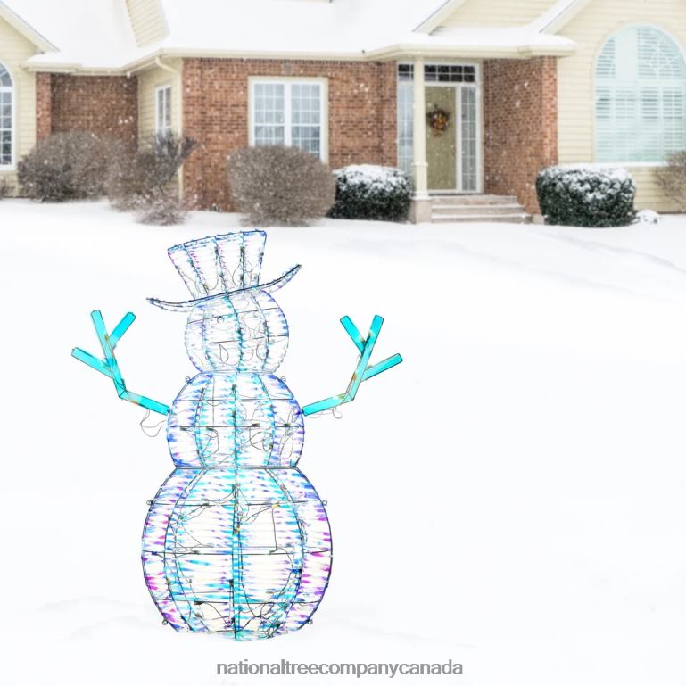 National Tree Company Pre Lit Iridescent Snowman Decoration Cool White LED Lights Plug In Christmas Collection 48 Inches 68R08642