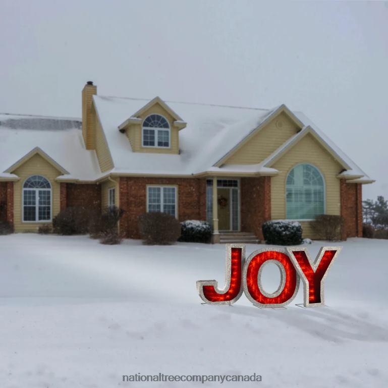 National Tree Company Pre-Lit LED JOY Decoration 68R08641
