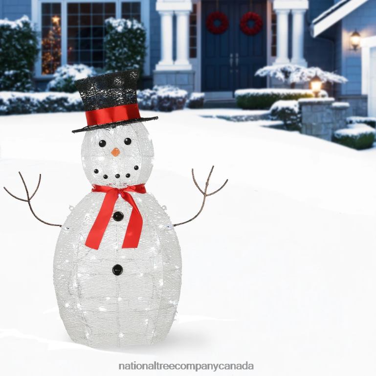 National Tree Company Pre Lit Sisal Snowman Decoration Cool White LED Lights Plug In Christmas Collection 36 Inches 68R08637