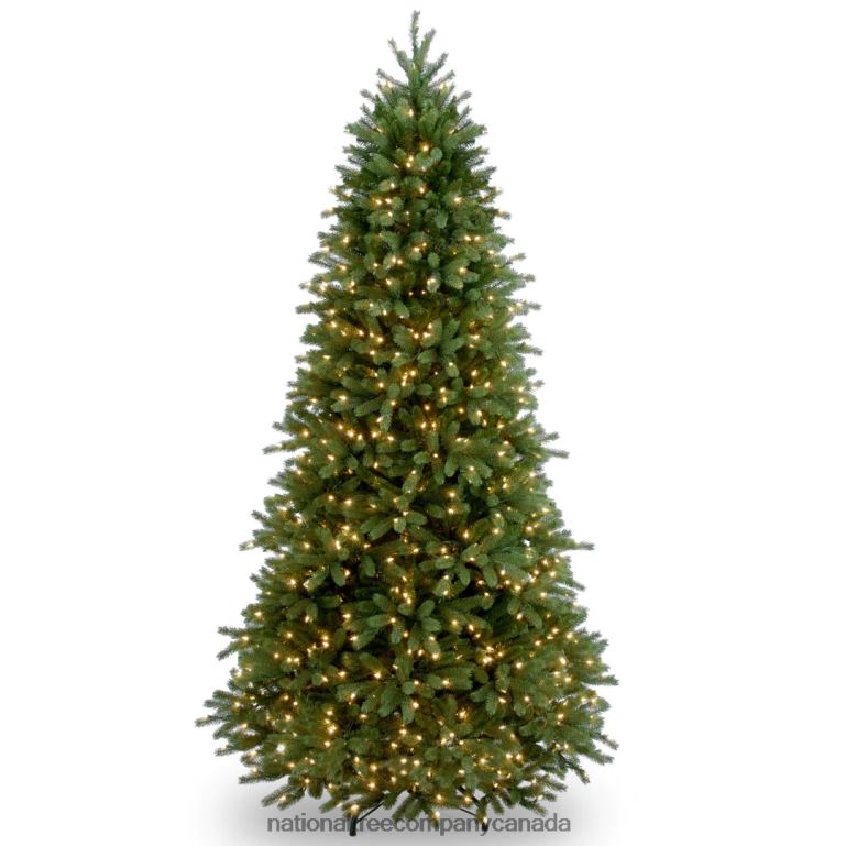 National Tree Company Pre-Lit Slim Artificial Christmas Tree Green Jersey Fraser Fir Feel Real White Lights Includes Stand 65 Feet 68R0830