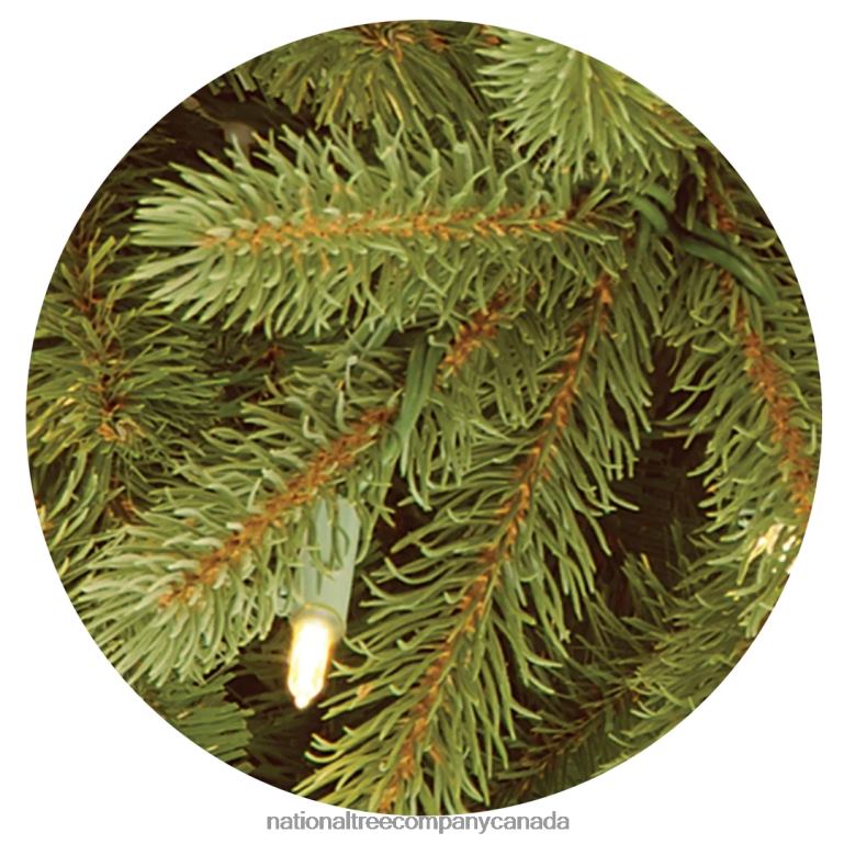 National Tree Company Pre-Lit Slim Artificial Christmas Tree Green Jersey Fraser Fir \Feel Real\ White Lights Includes Stand 75 Feet 68R083