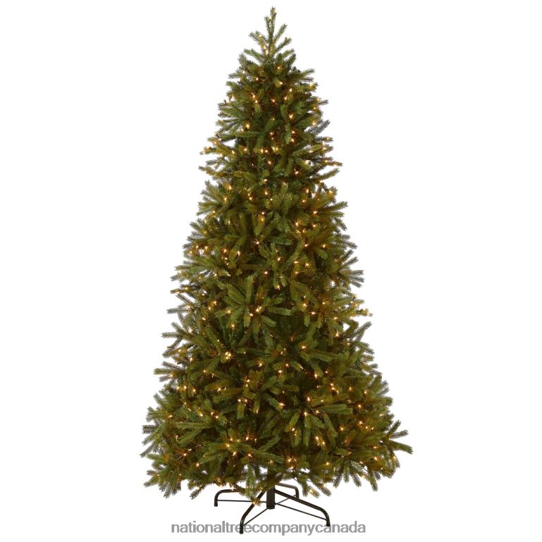 National Tree Company Pre-Lit Slim Artificial Christmas Tree Green Jersey Fraser Fir \Feel Real\ White Lights Includes Stand 75 Feet 68R083
