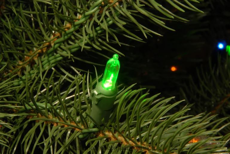 National Tree Company Pre-lit \Feel Real\ Artificial Giant Slim Downswept Christmas Tree Green Douglas Fir Dual Color LED Lights Includes PowerConnect and Stand 12 feet 68R087