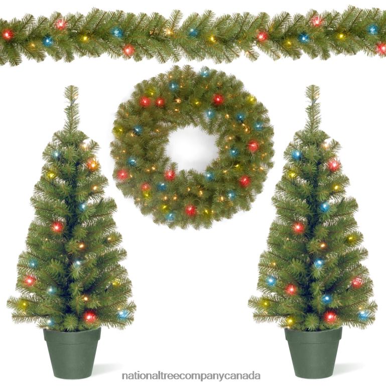 National Tree Company Promotional Assortment with Battery Operated LED Lights 68R08513