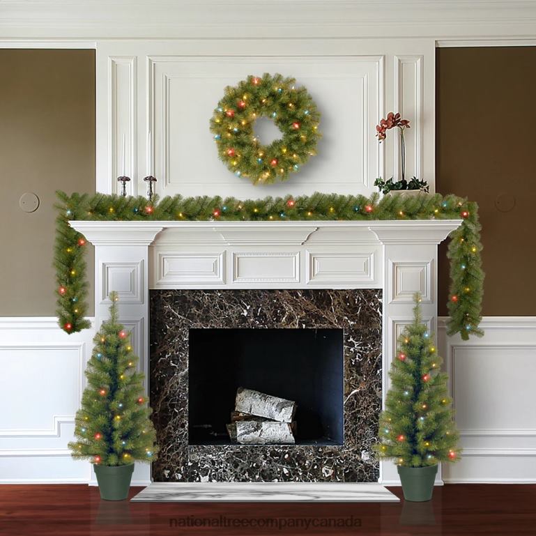 National Tree Company Promotional Assortment with Battery Operated LED Lights 68R08513