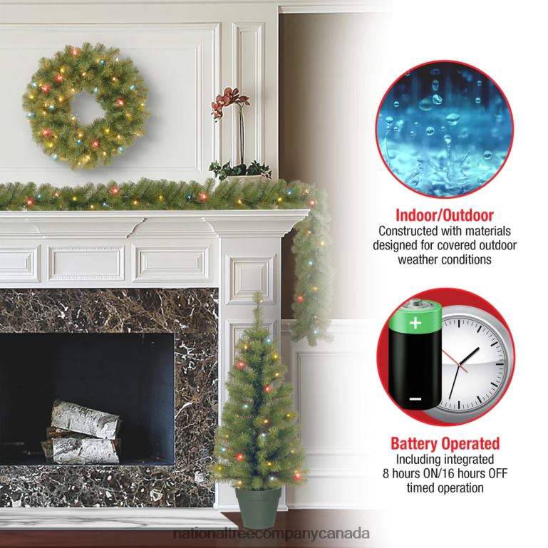 National Tree Company Promotional Assortment with Battery Operated LED Lights 68R08513