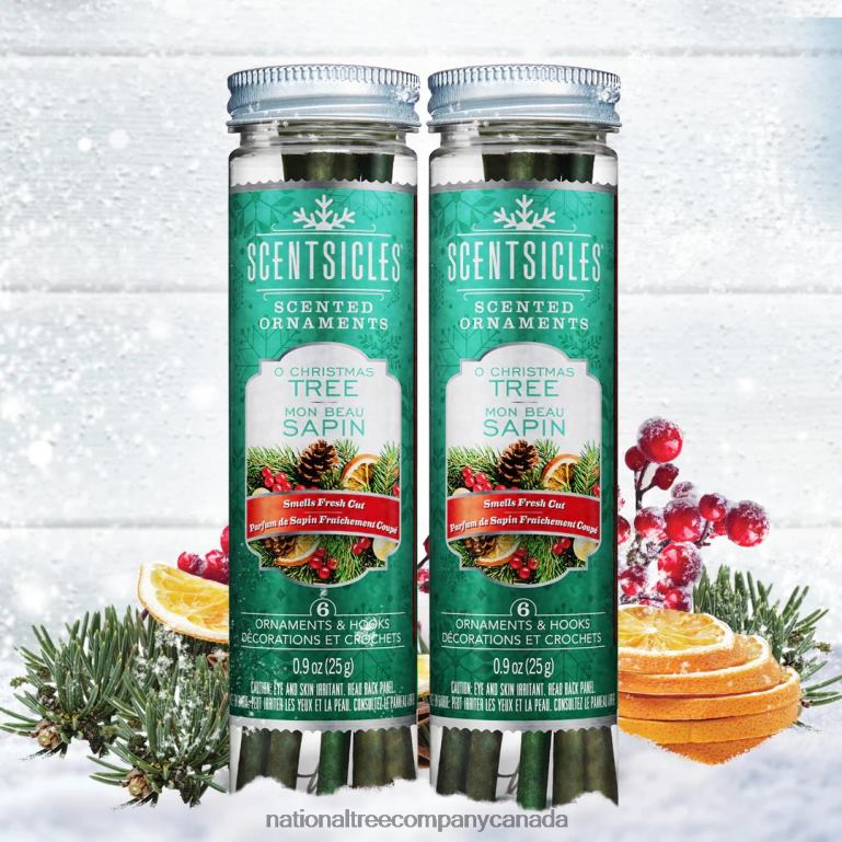National Tree Company Scented Ornaments 2- Pack- 6ct Bottle O Christmas Tree Fragrance-Infused Paper Sticks 68R08542