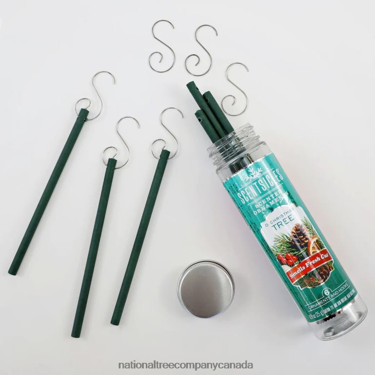 National Tree Company Scented Ornaments 2- Pack- 6ct Bottle O Christmas Tree Fragrance-Infused Paper Sticks 68R08542