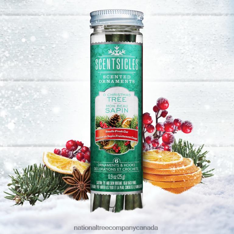 National Tree Company Scented Ornaments 2- Pack- 6ct Bottle O Christmas Tree Fragrance-Infused Paper Sticks 68R08542