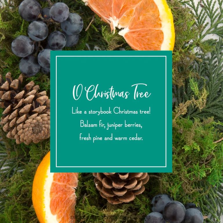 National Tree Company Scented Ornaments 2- Pack- 6ct Bottle O Christmas Tree Fragrance-Infused Paper Sticks 68R08542