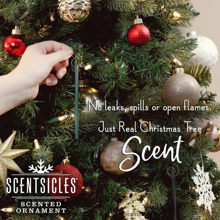 National Tree Company Scented Ornaments 2- Pack- 6ct Bottle O Christmas Tree Fragrance-Infused Paper Sticks 68R08542