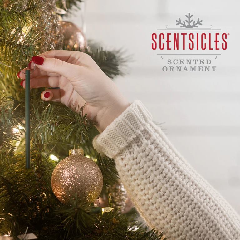 National Tree Company Scented Ornaments 2- Pack- 6ct Bottle O Christmas Tree Fragrance-Infused Paper Sticks 68R08542