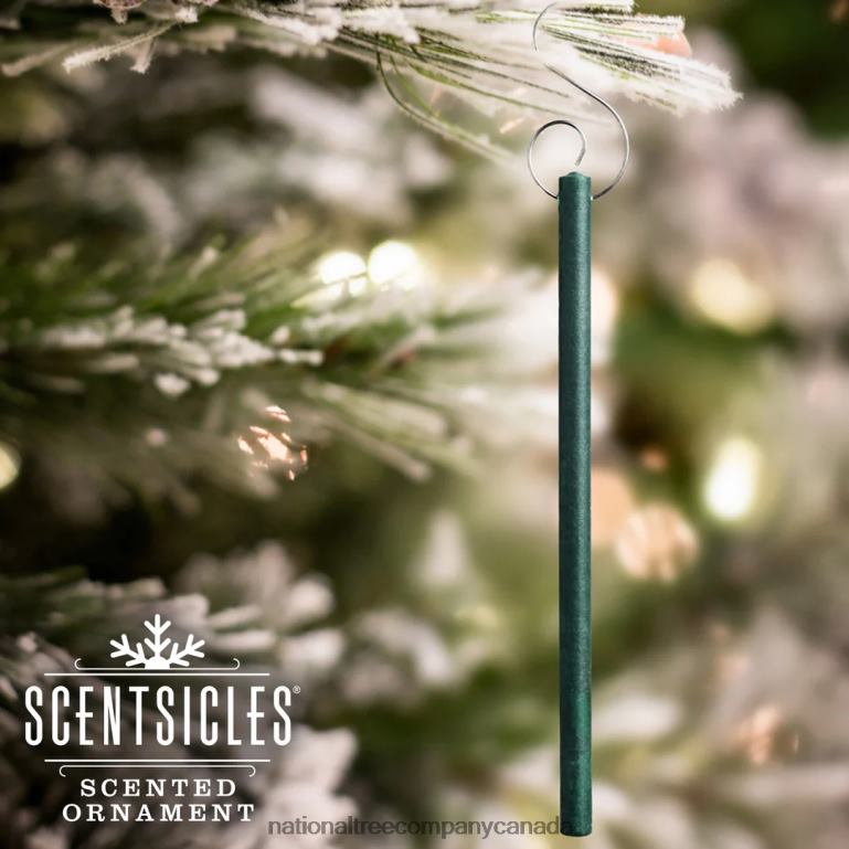 National Tree Company Scented Ornaments 2- Pack- 6ct Bottle O Christmas Tree Fragrance-Infused Paper Sticks 68R08542