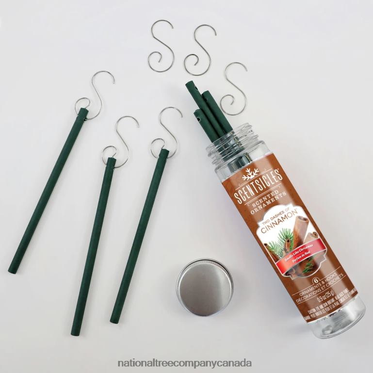 National Tree Company Scented Ornaments 2-Pack- 6ct Bottle 2 Dashes of Cinnamon Fragrance-Infused Paper Sticks 68R08546