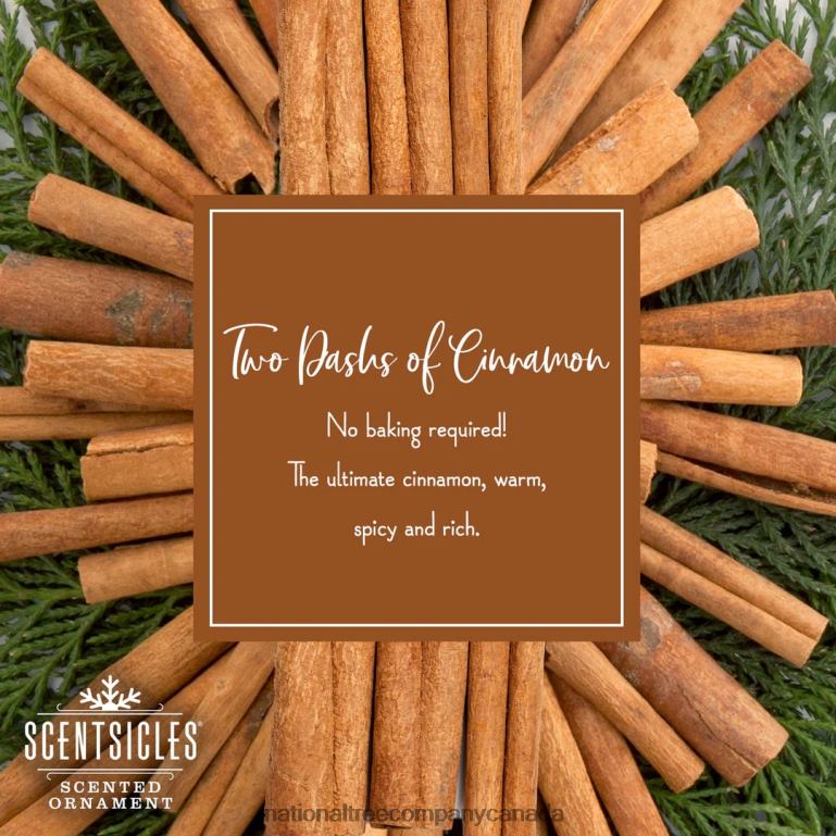 National Tree Company Scented Ornaments 2-Pack- 6ct Bottle 2 Dashes of Cinnamon Fragrance-Infused Paper Sticks 68R08546