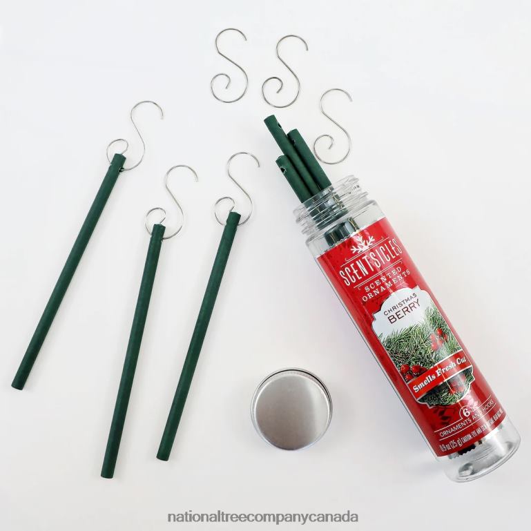 National Tree Company Scented Ornaments 2-Pack- 6ct Bottle Christmas Berry Fragrance-Infused Paper Sticks 68R08549