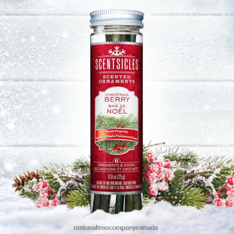 National Tree Company Scented Ornaments 2-Pack- 6ct Bottle Christmas Berry Fragrance-Infused Paper Sticks 68R08549