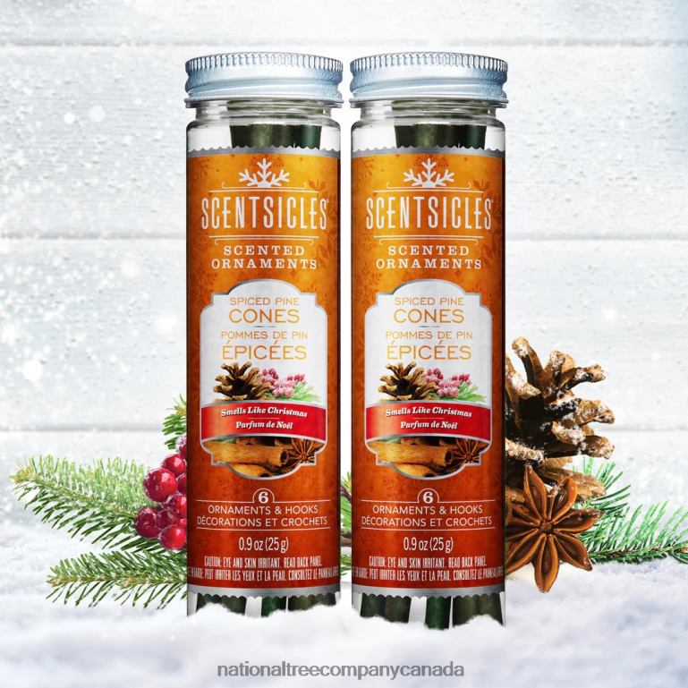 National Tree Company Scented Ornaments 2-Pack- 6ct Bottle Spiced Pine Cones Fragrance-Infused Paper Sticks 68R08544
