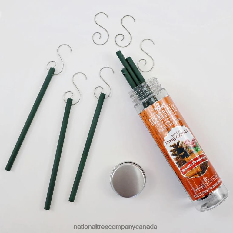 National Tree Company Scented Ornaments 2-Pack- 6ct Bottle Spiced Pine Cones Fragrance-Infused Paper Sticks 68R08544