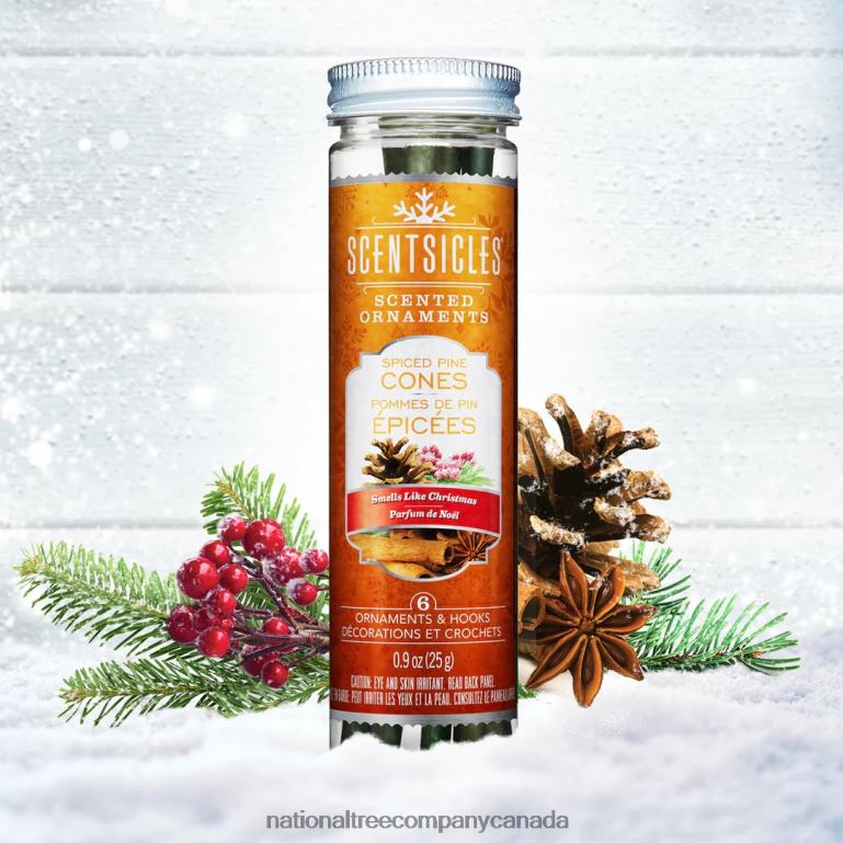 National Tree Company Scented Ornaments 2-Pack- 6ct Bottle Spiced Pine Cones Fragrance-Infused Paper Sticks 68R08544