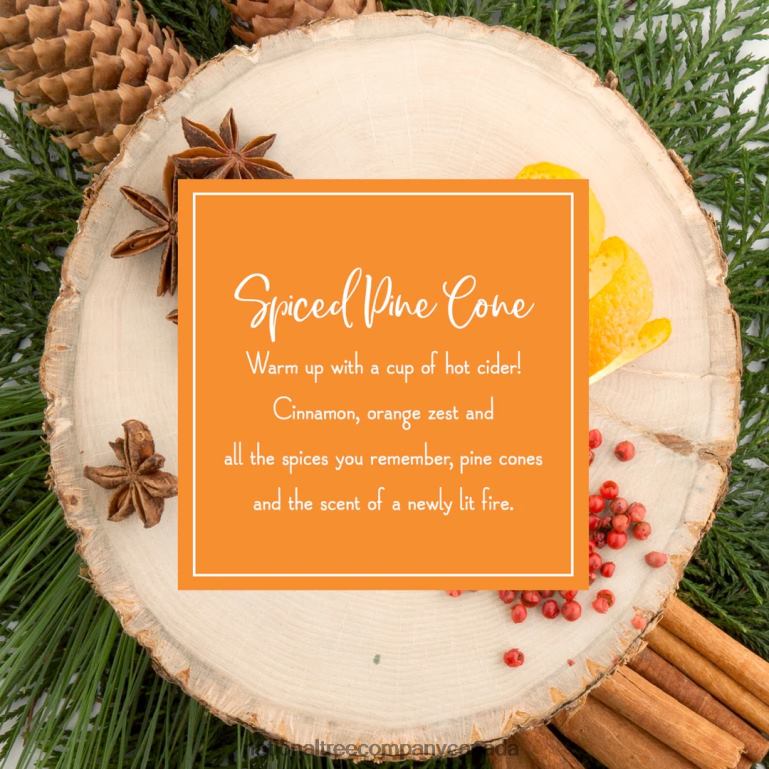 National Tree Company Scented Ornaments 2-Pack- 6ct Bottle Spiced Pine Cones Fragrance-Infused Paper Sticks 68R08544