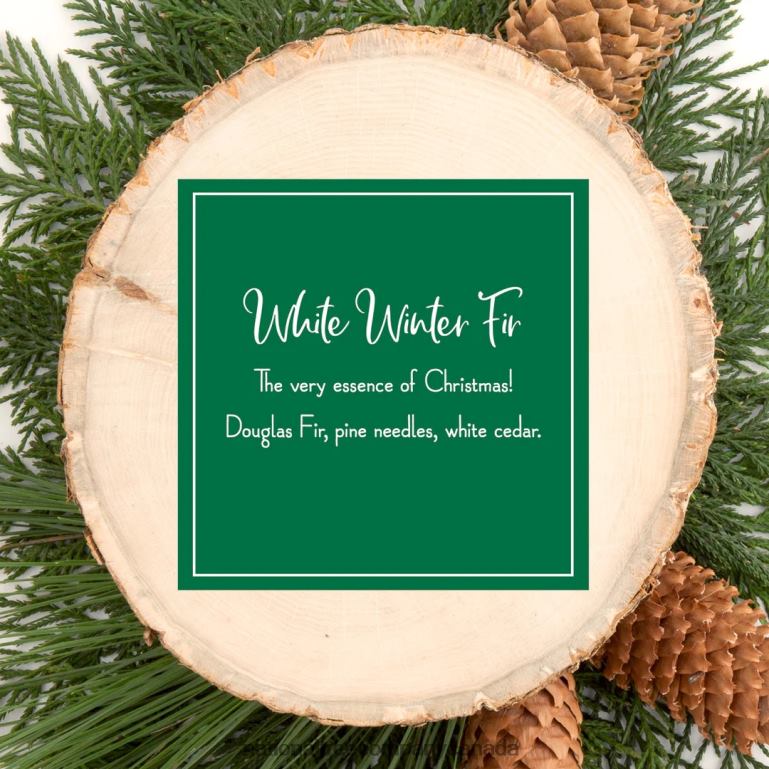 National Tree Company Scented Ornaments 2 Pack- 6ct Bottle White Winter Fir Fragrance-Infused Paper Sticks 68R08541