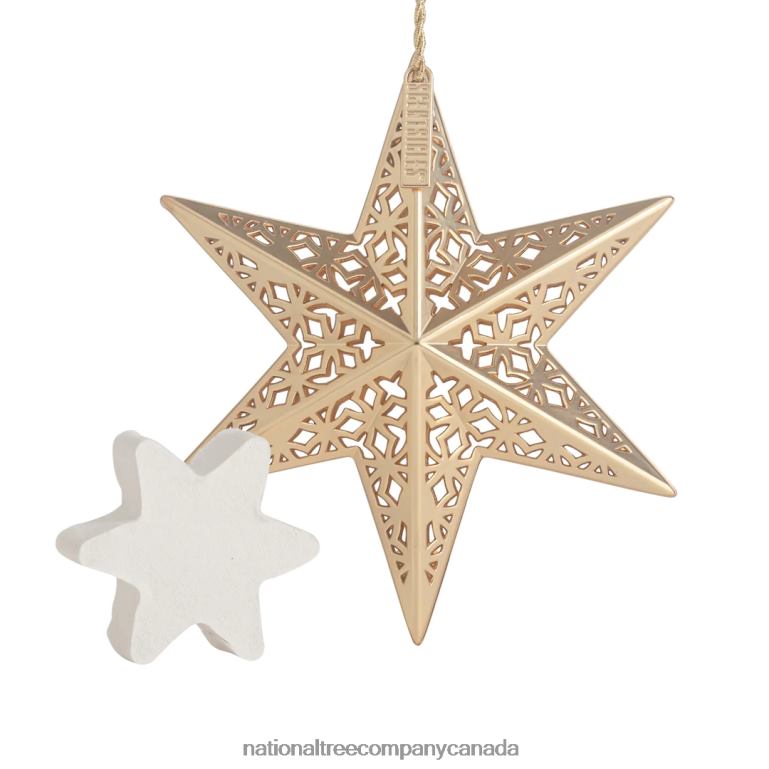 National Tree Company Scentsicles Decorative Ornament Metal Gold Star White Winter Fir with Refill 68R08545